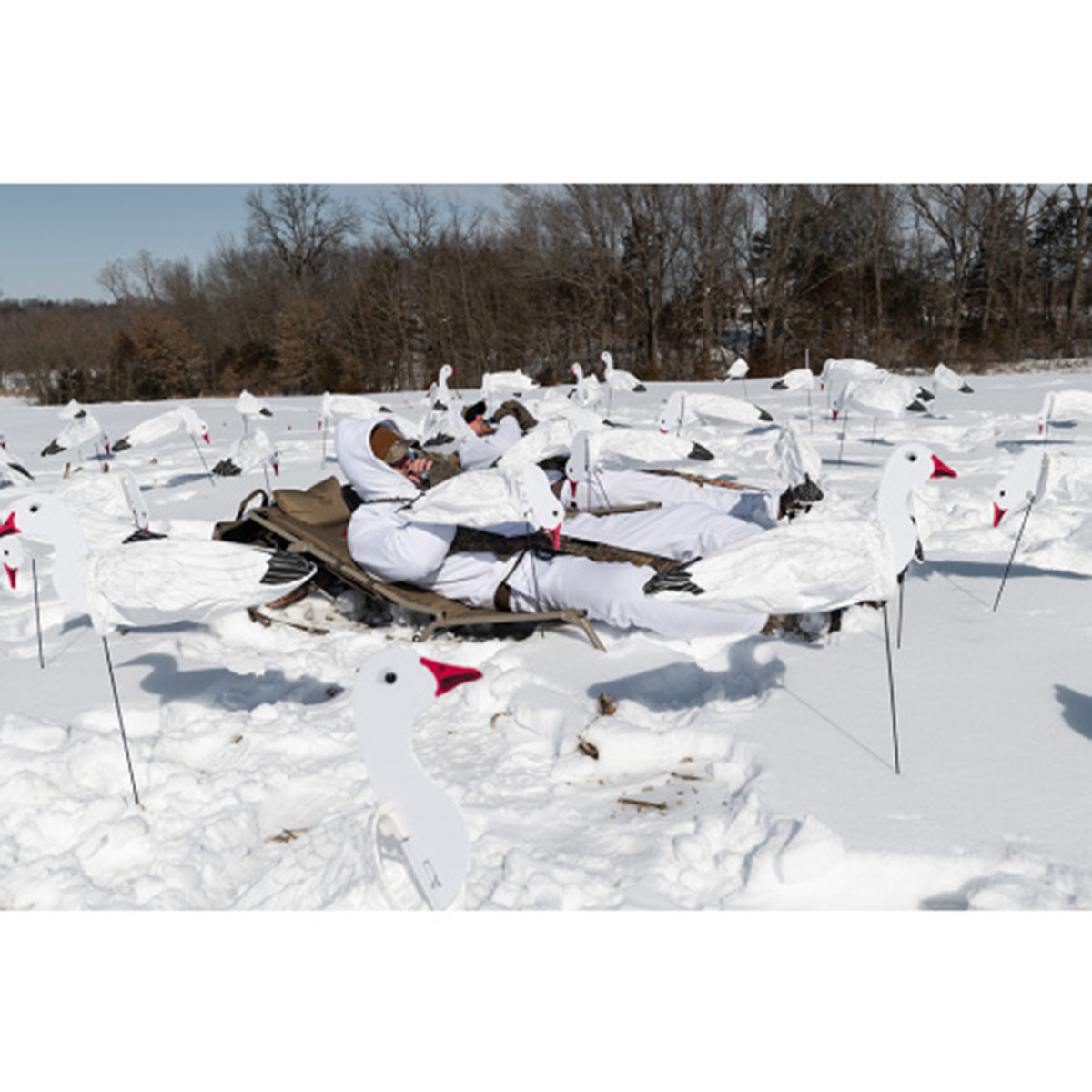 blind snow goose chair