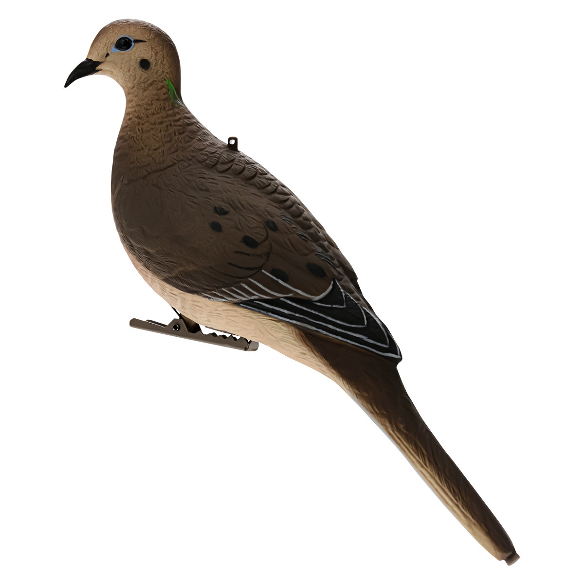  バード　 Dove Avian-X AXP Full-Body Dove Decoys | Rogers Sporting Goods