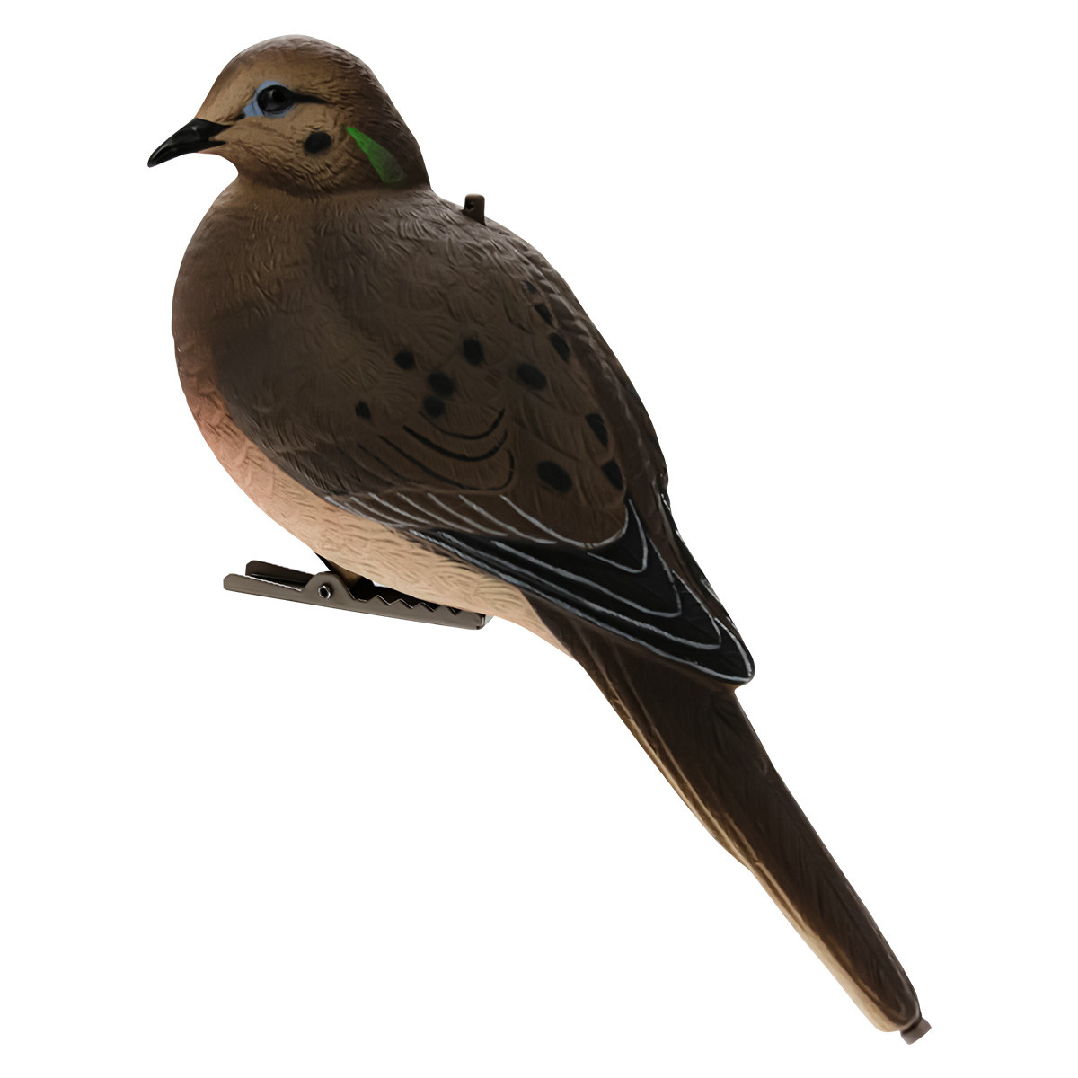 Avian-X AXP Full-Body Dove Decoys | Rogers Sporting Goods