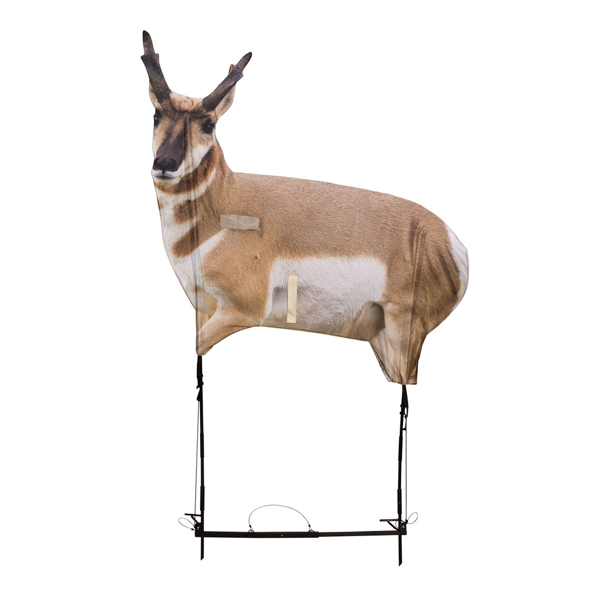 Montana Decoys Eichler Antelope Decoy with Quick Stand | Rogers
