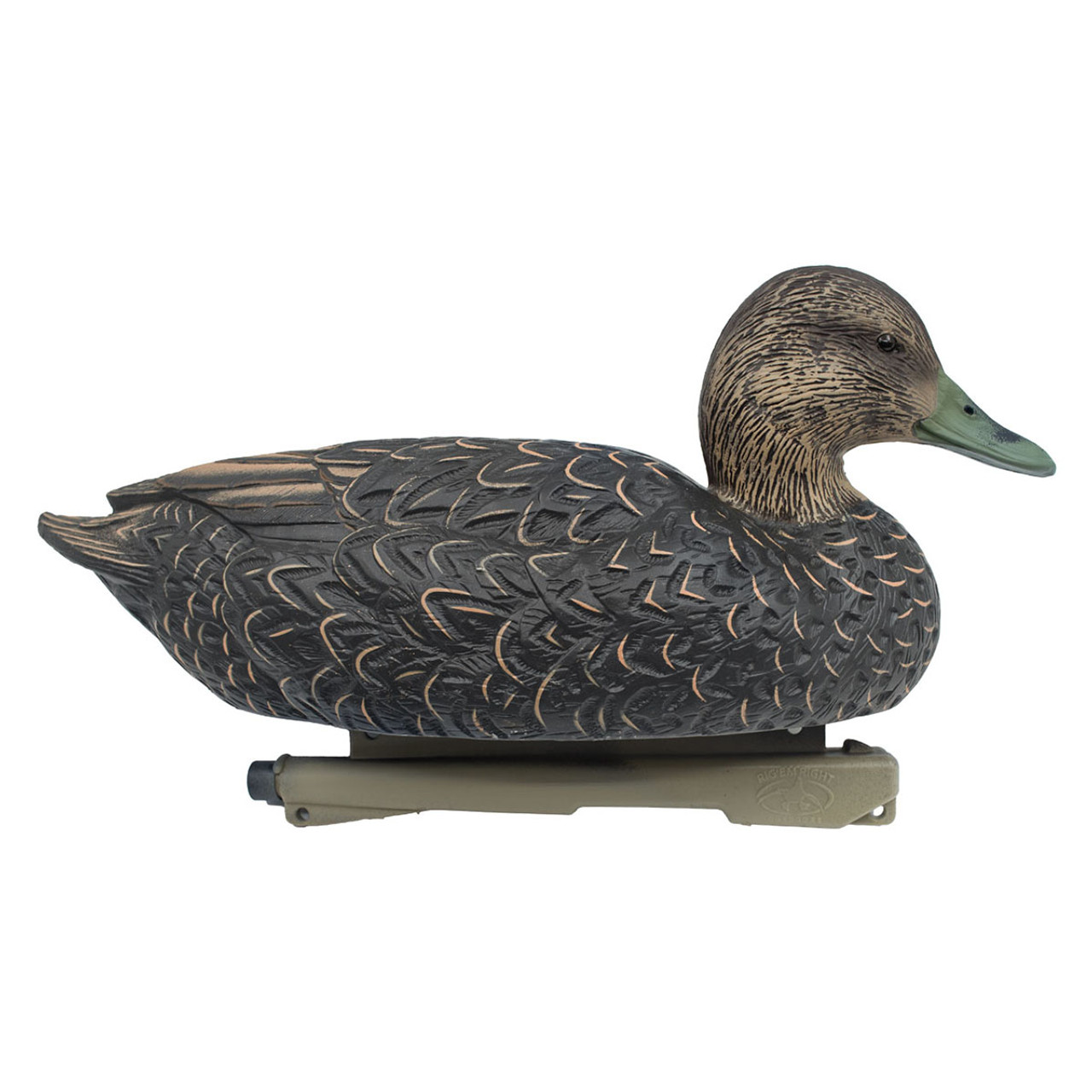 ディック　デュアーステイン/always trust a duck ディック デュアーステイン/always trust a duck Duckster