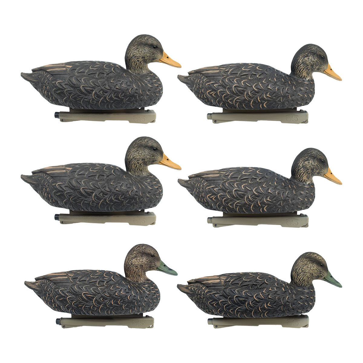Rig'Em Right Mainline Series Black Duck Decoys, 6 Pack | Rogers