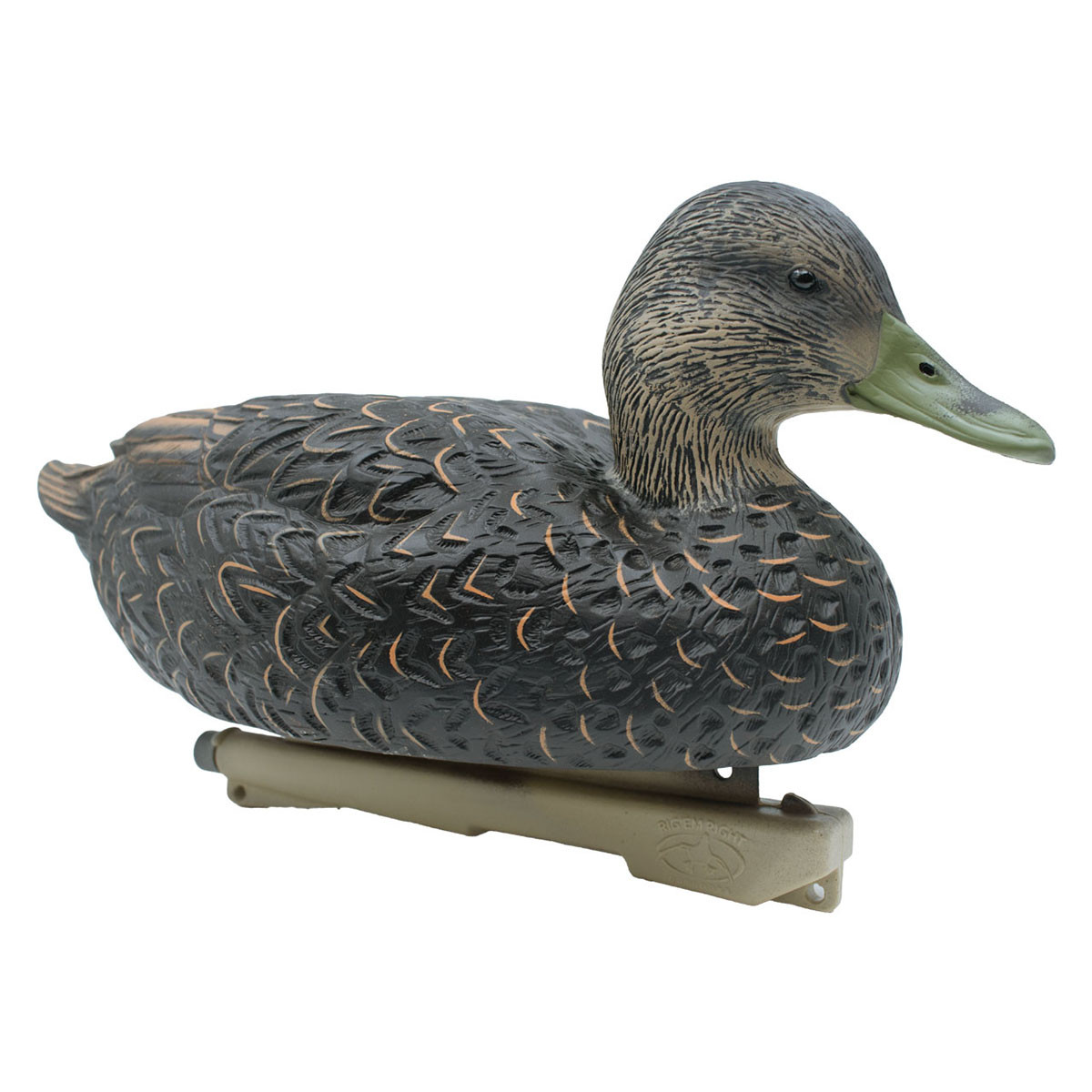 Rig'Em Right Mainline Series Black Duck Decoys, 6 Pack | Rogers
