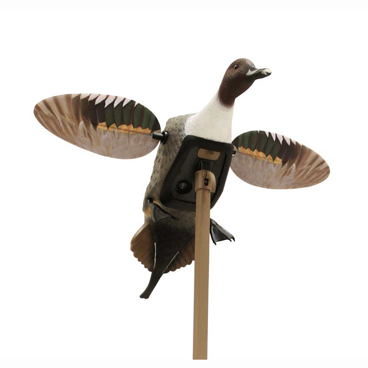 Mojo Outdoors Elite Series Pintail Duck Decoy