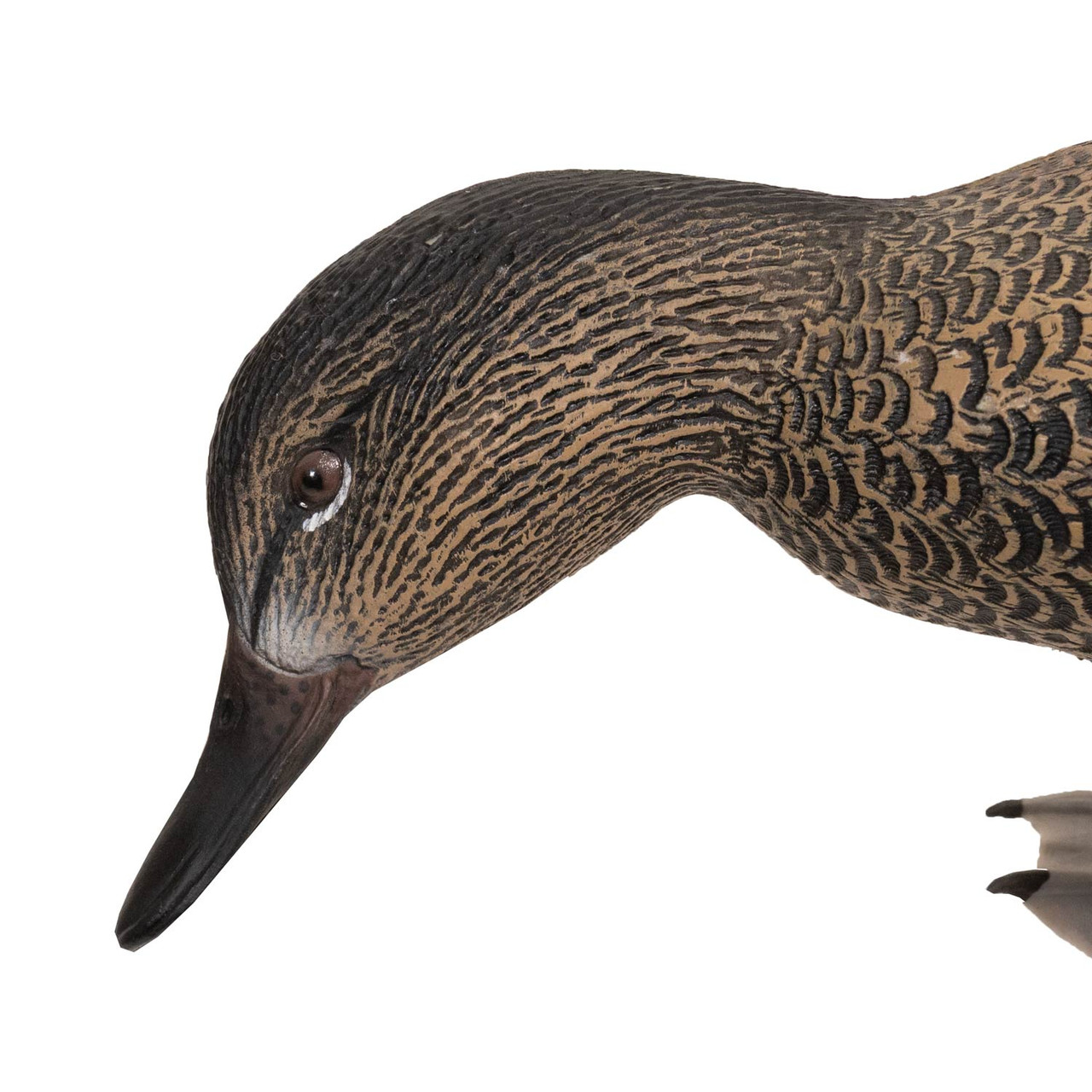Avian-X Powerflight Hen Teal, 2 Pack | Rogers Sporting Goods