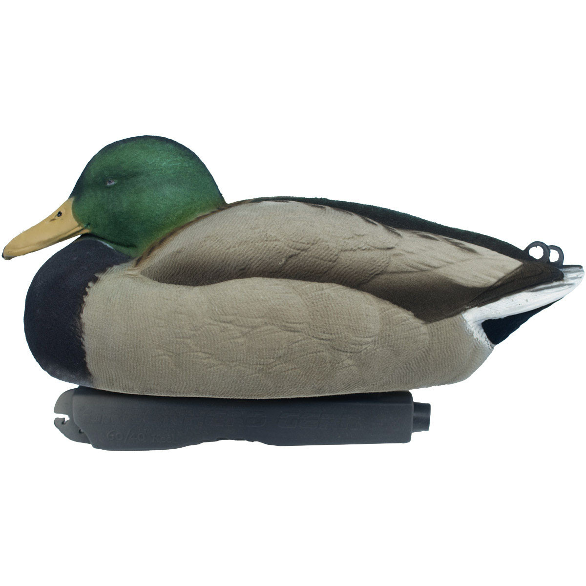 Avery GHG Pro-Grade XD Series Pintail Duck Decoys - Thumbnail 3