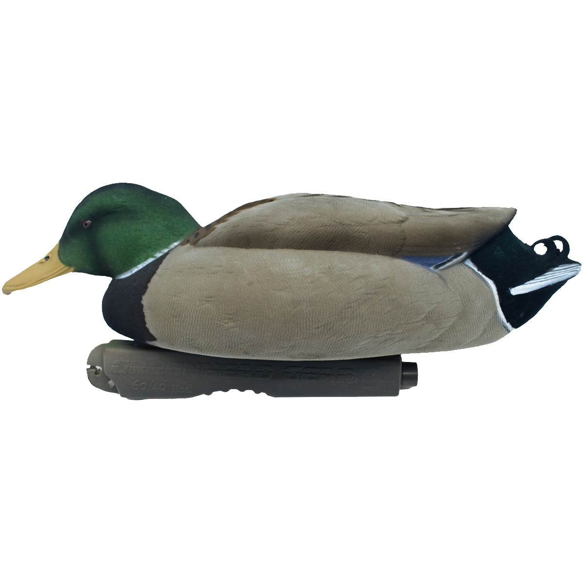 Avery GHG Pro-Grade XD Series Pintail Duck Decoys - Thumbnail 5