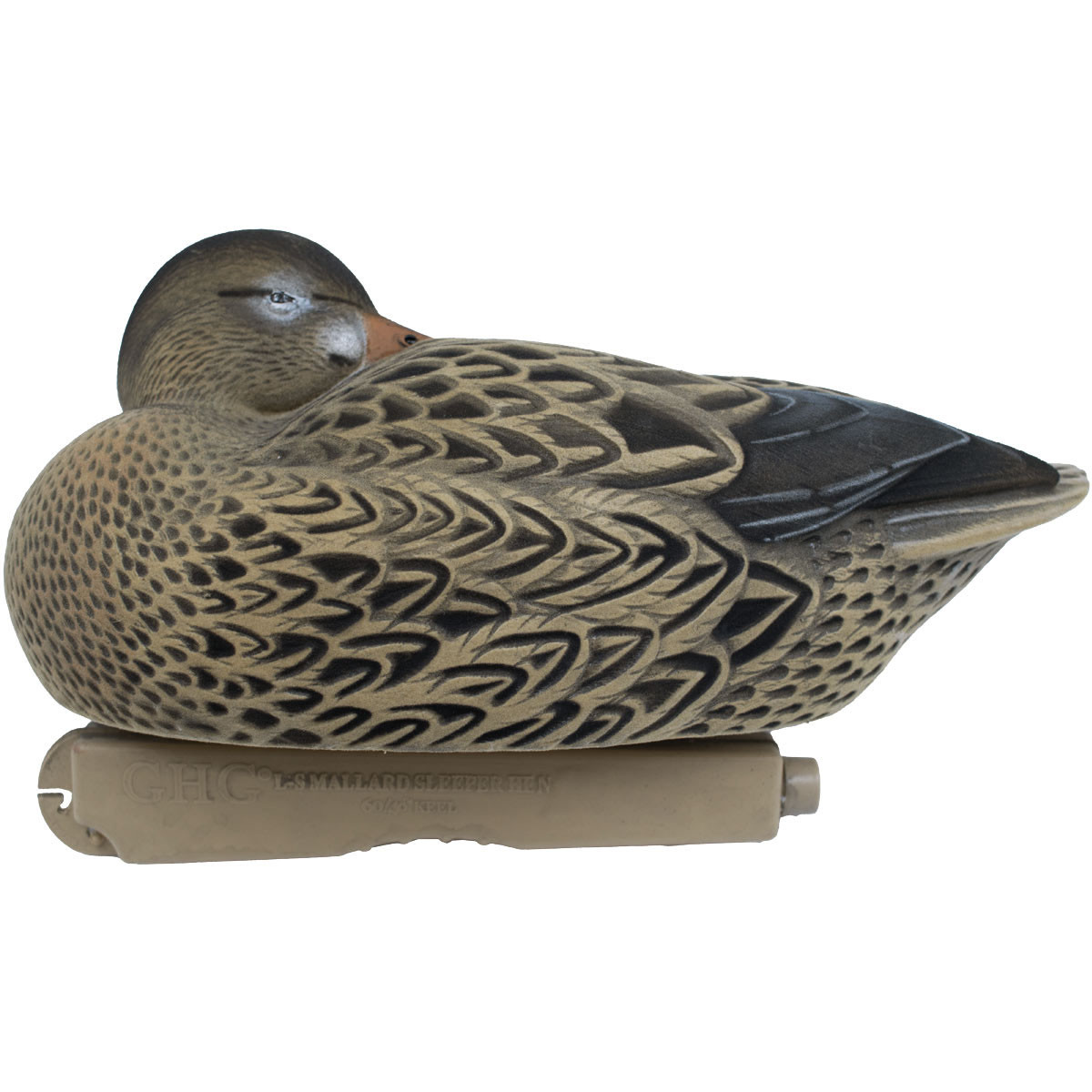 Avery GHG Pro-Grade XD Series Pintail Duck Decoys - Thumbnail 2