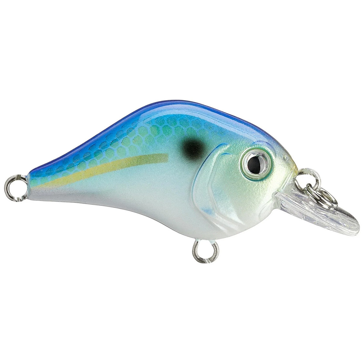 Bill Lewis Gnat Tiny Crankbait - 1/8oz | Rogers Sporting Goods