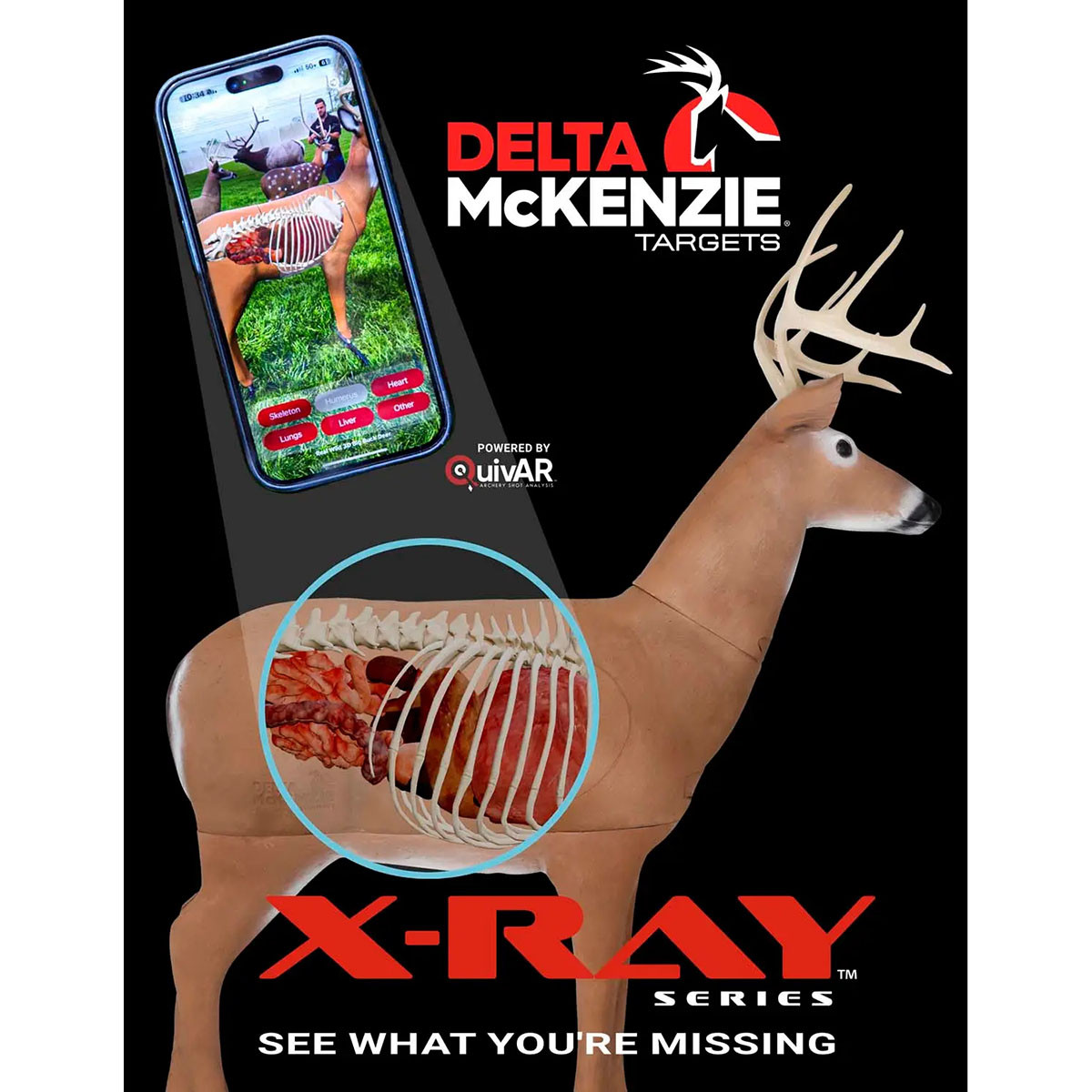 Delta McKenzie Big Daddy XRay Buck Archery Target | Rogers