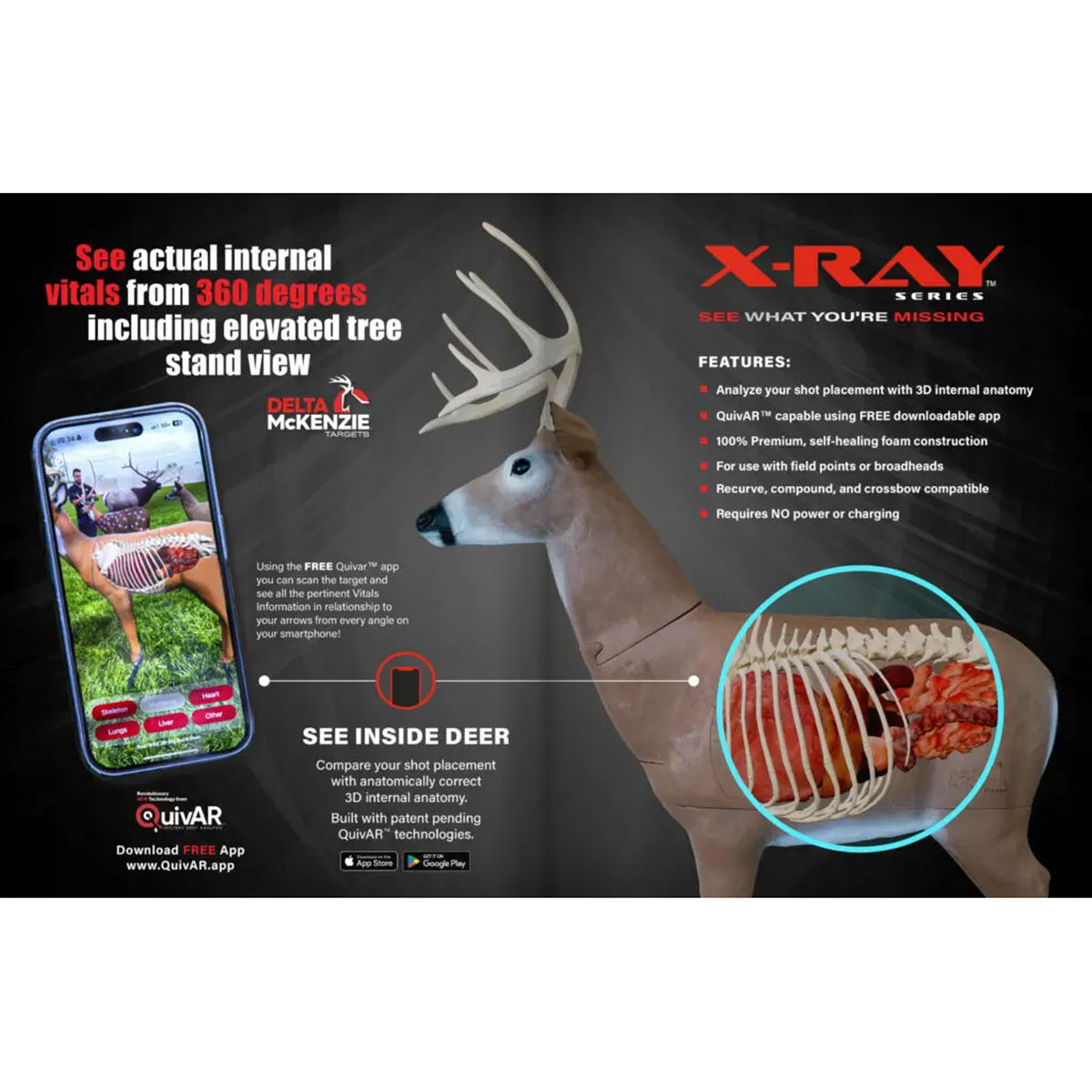 Delta McKenzie Big Daddy XRay Buck Archery Target | Rogers