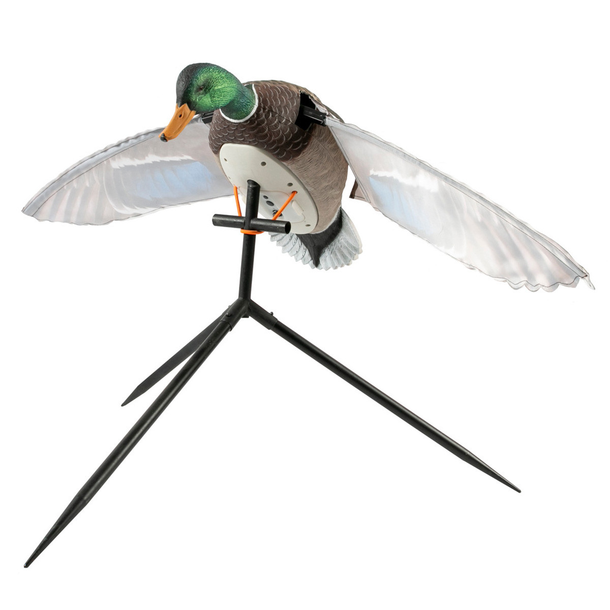 Lucky Duck Super Flapper HDi 2.0 Mallard Drake Decoy | Rogers
