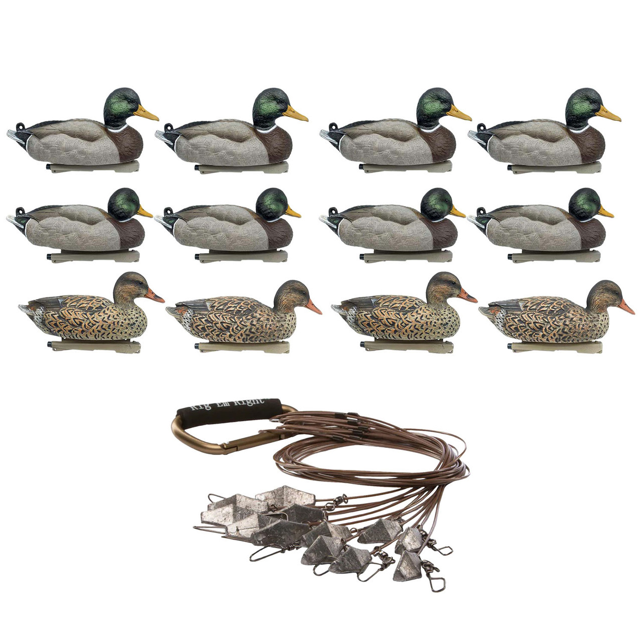 Rig'Em Right Mainline Series Mallard Duck Floating Duck Decoys, 12 Pack with Xtreme Coated Cable