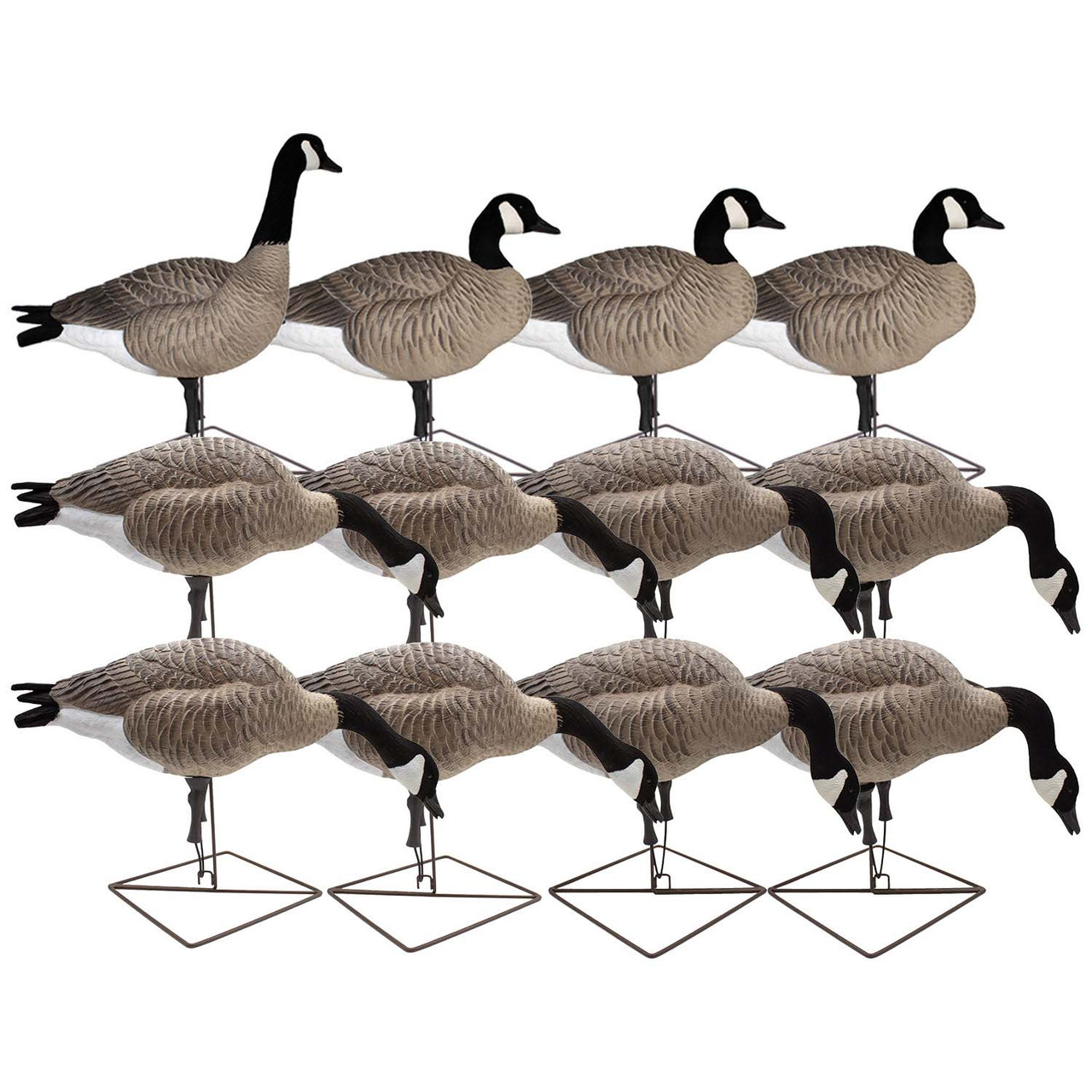 Final Approach Live Full Body Feeder & Upright Honker Decoys