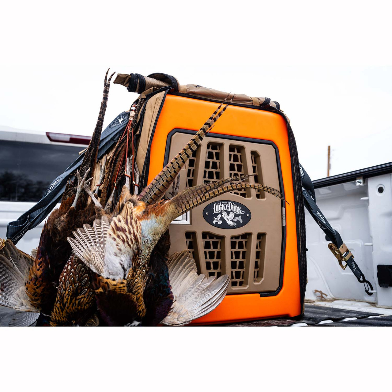 リッドルキッドル デッドストック Lucky Duck Lucky Kennel, Large/Upland Orange | Rogers Sporting Goods