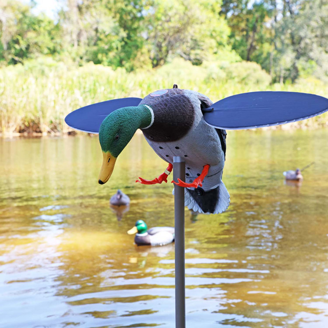 Mojo Outdoors Mallard Duck Decoy