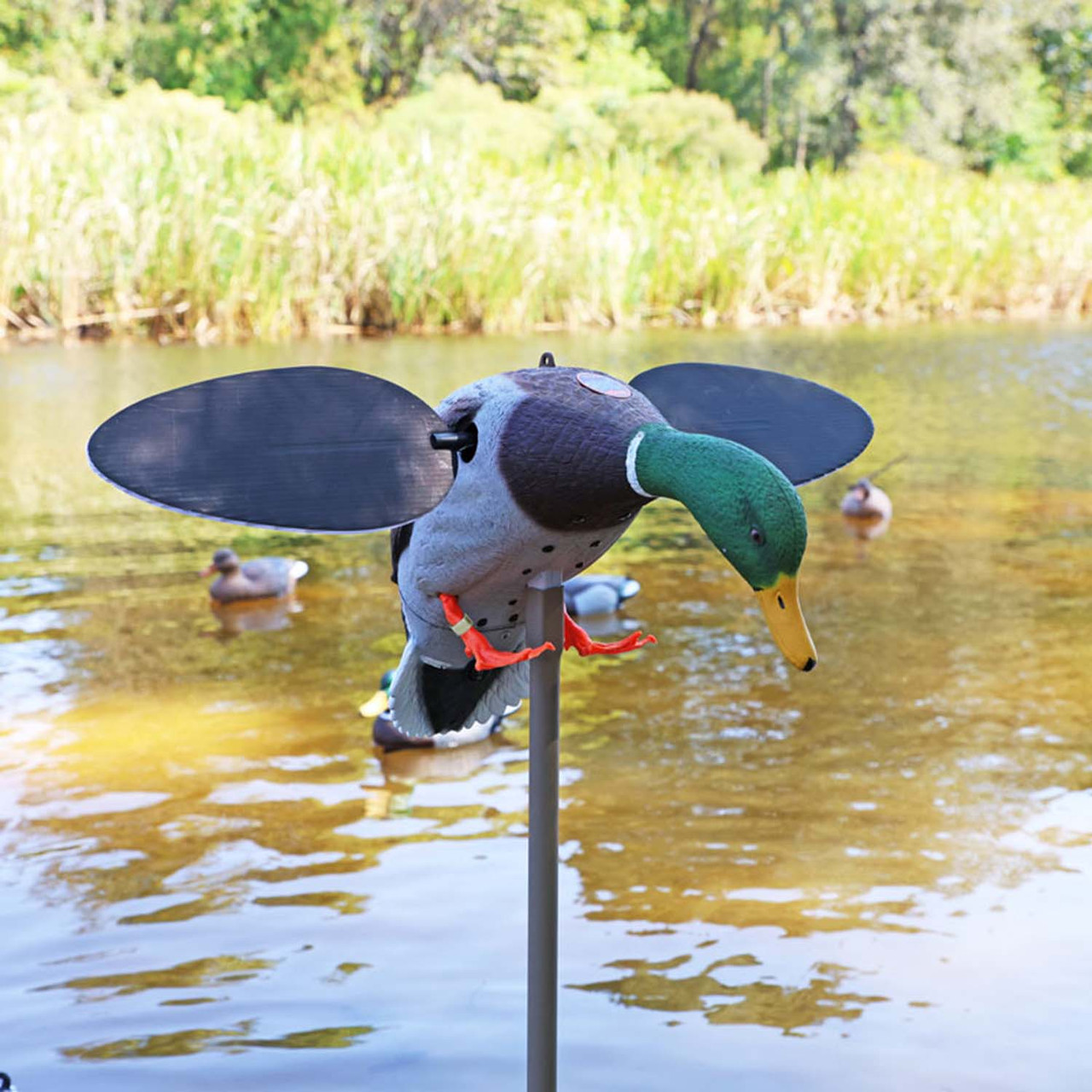 Mojo Outdoors Mallard Duck Decoy - Thumbnail 5