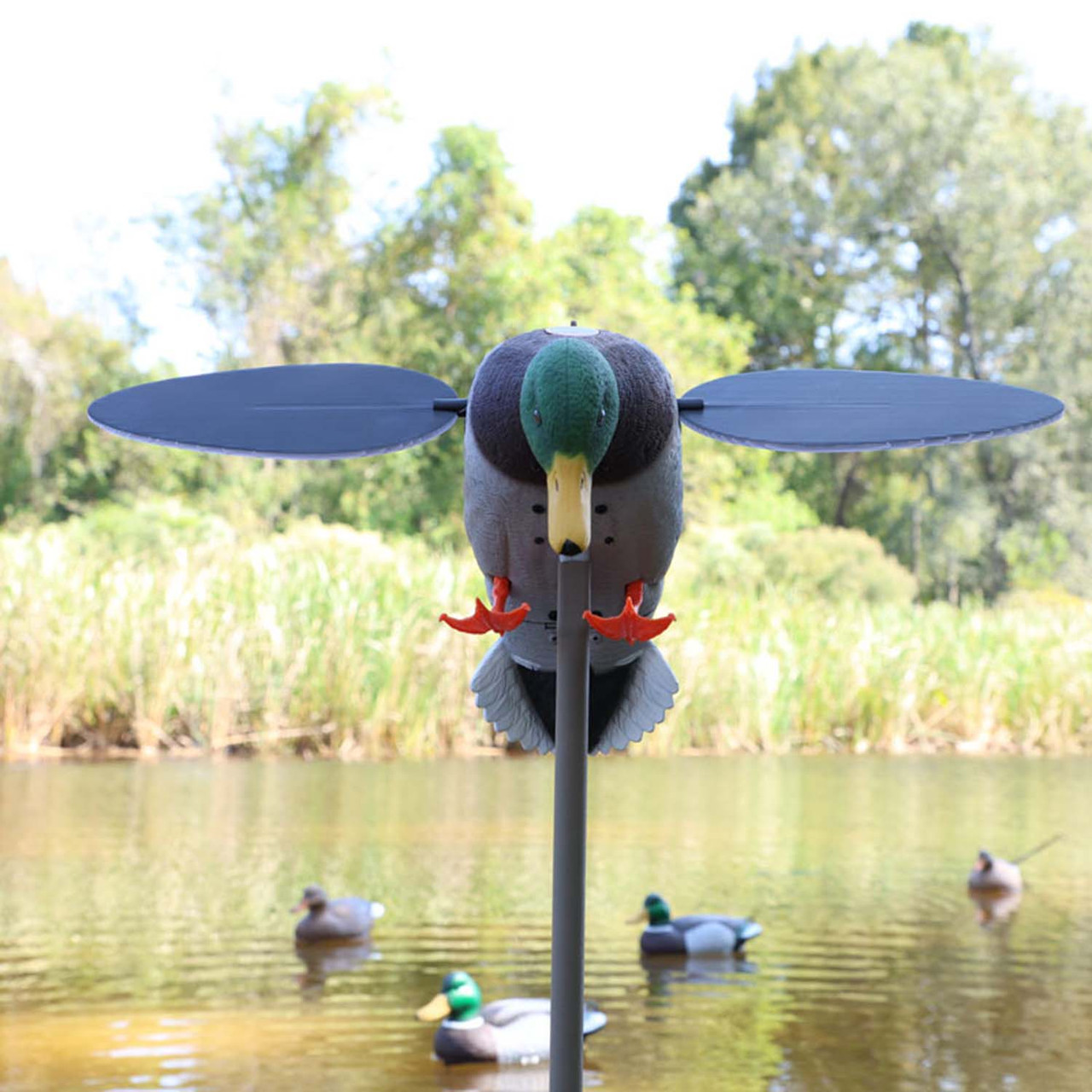 Mojo Outdoors Mallard Duck Decoy - Thumbnail 4
