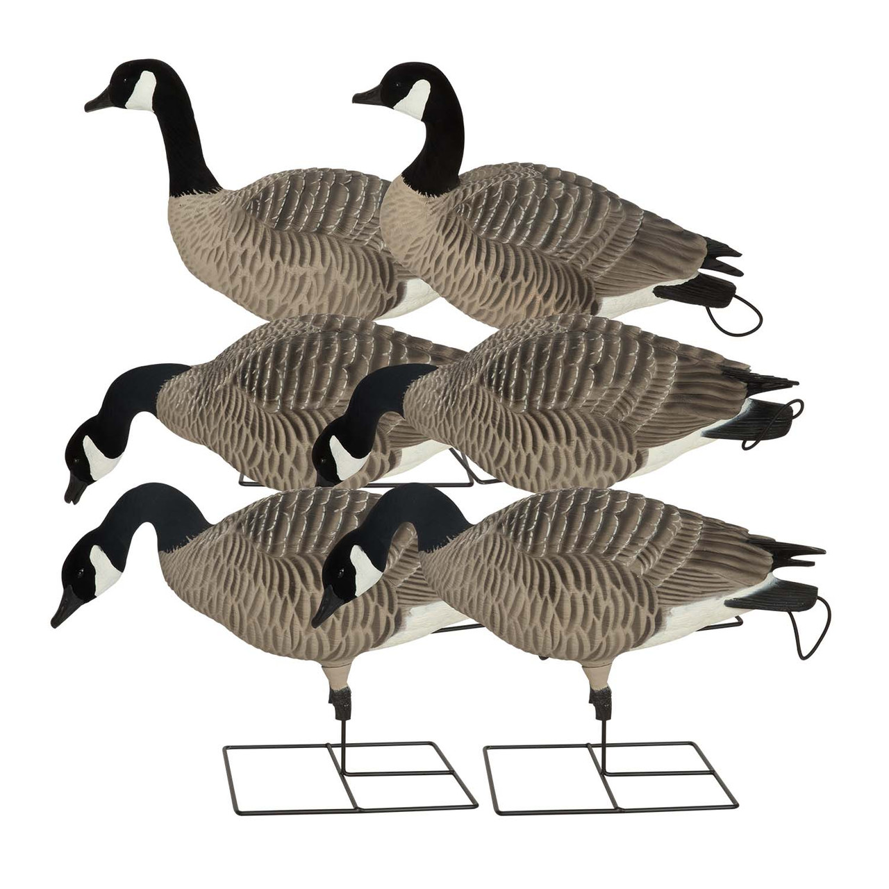 GHG Decoy Systems Pro-Grade XD Series Canada Goose Decoys