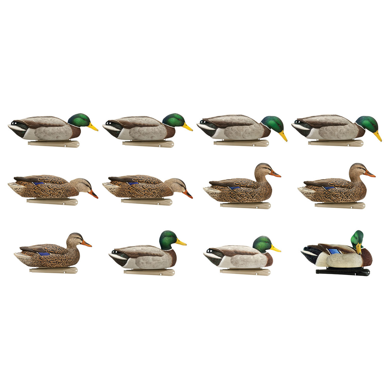 ロデオキングFO012 Avian-X Topflight Mallards Fusion Extreme Decoys, 12 Pack | Rogers