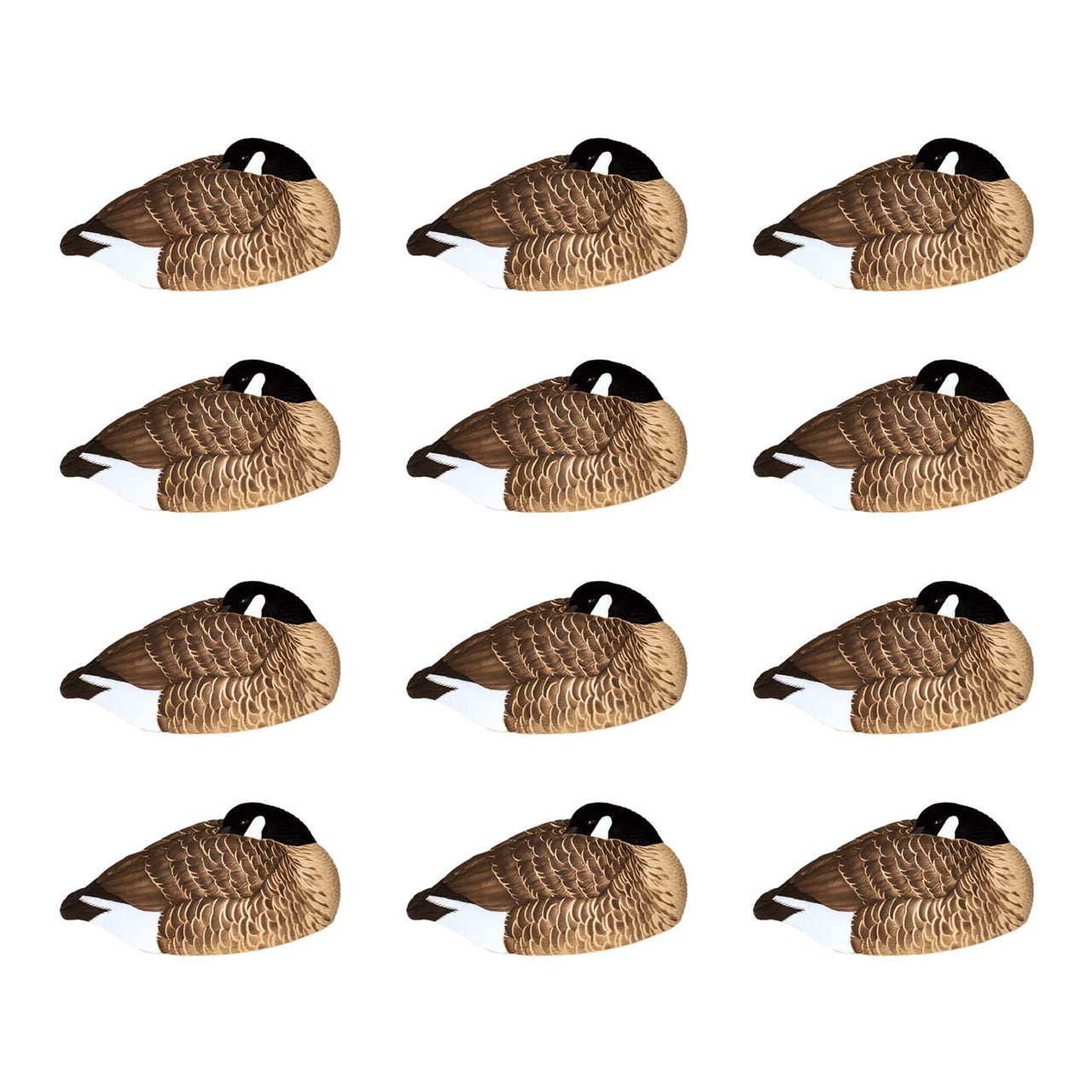 Avian-X Canada Goose Sleeper Shell Decoys, 12 Pack | Rogers