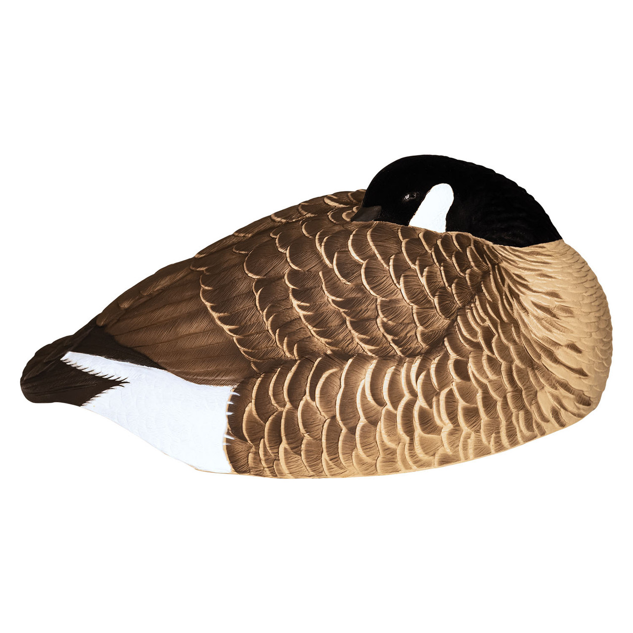 Avian-X Canada Goose Sleeper Shell Decoys, 12 Pack | Rogers