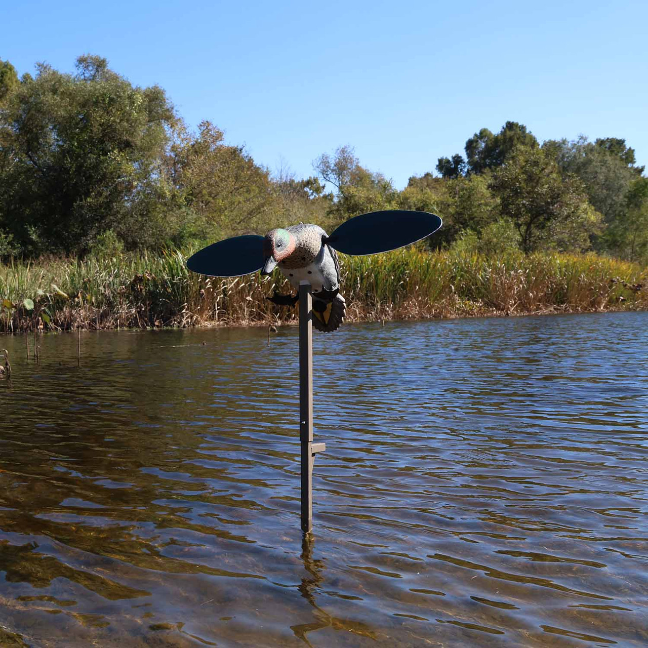 MOJO Outdoors Green-Winged Teal Spinning Wing Duck Decoy | Rogers ...