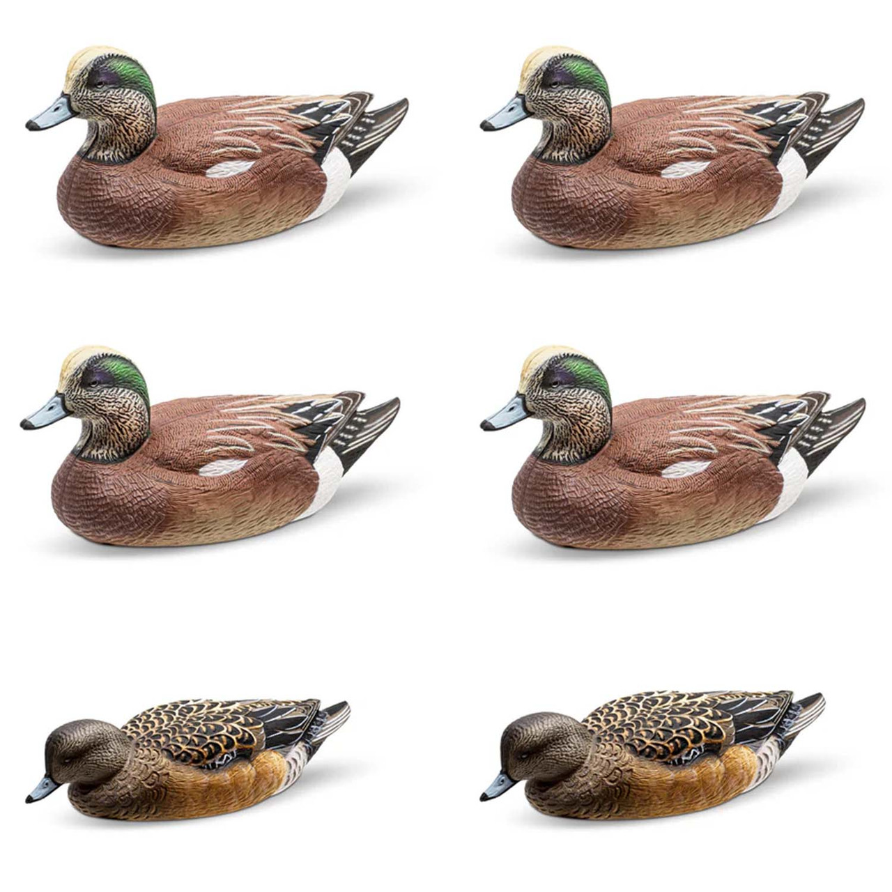 Rig'Em Right Mainline Series Wigeon Duck Waterfowl Decoys | Rogers