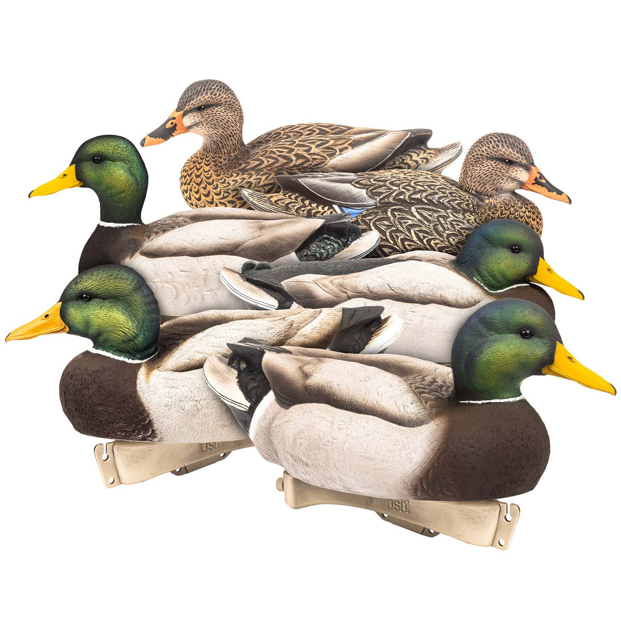 Dave Smith Decoys Maxima Mallard Floaters - Thumbnail 2