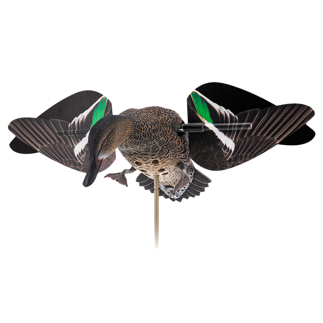Avian-X Powerflight Teal Replacement Wings | Rogers Sporting Goods