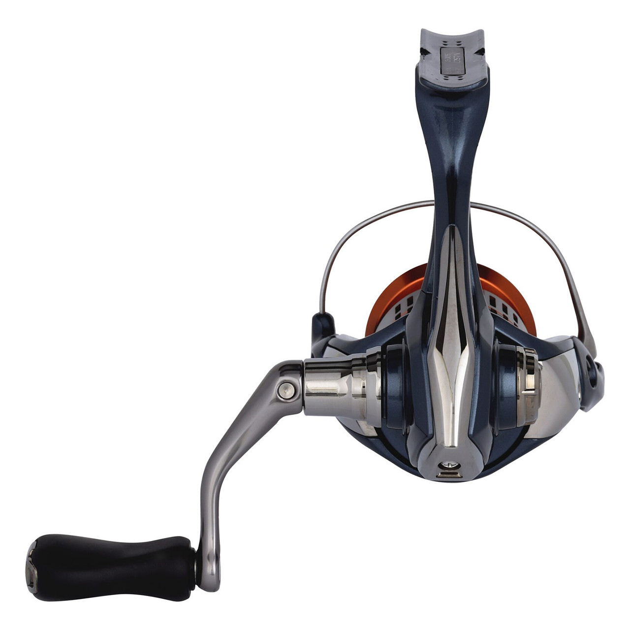 Shimano Nasci Spinning Reel | Rogers Sporting Goods