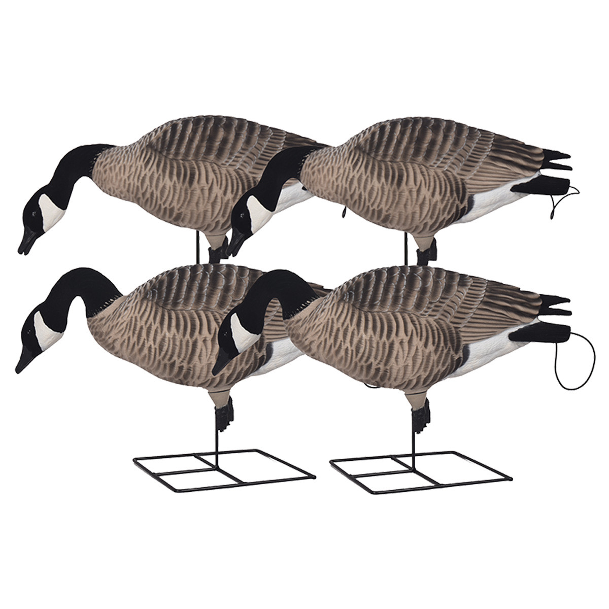 Pro-Grade XD Fully Flocked Full Body Canada Goose Feeders