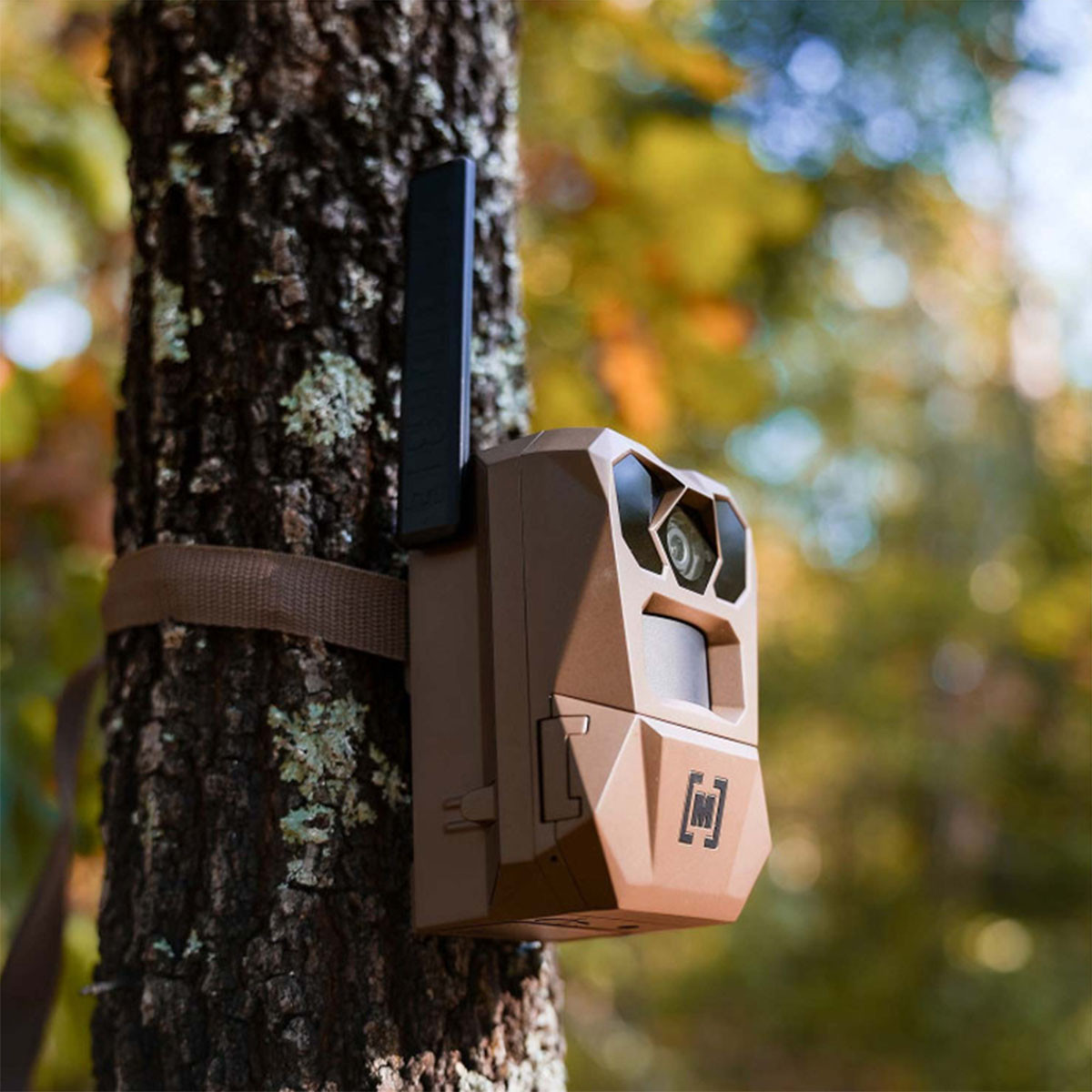 Moultrie Mobile Edge 4 IR Cellular Trail Camera | Rogers Sporting