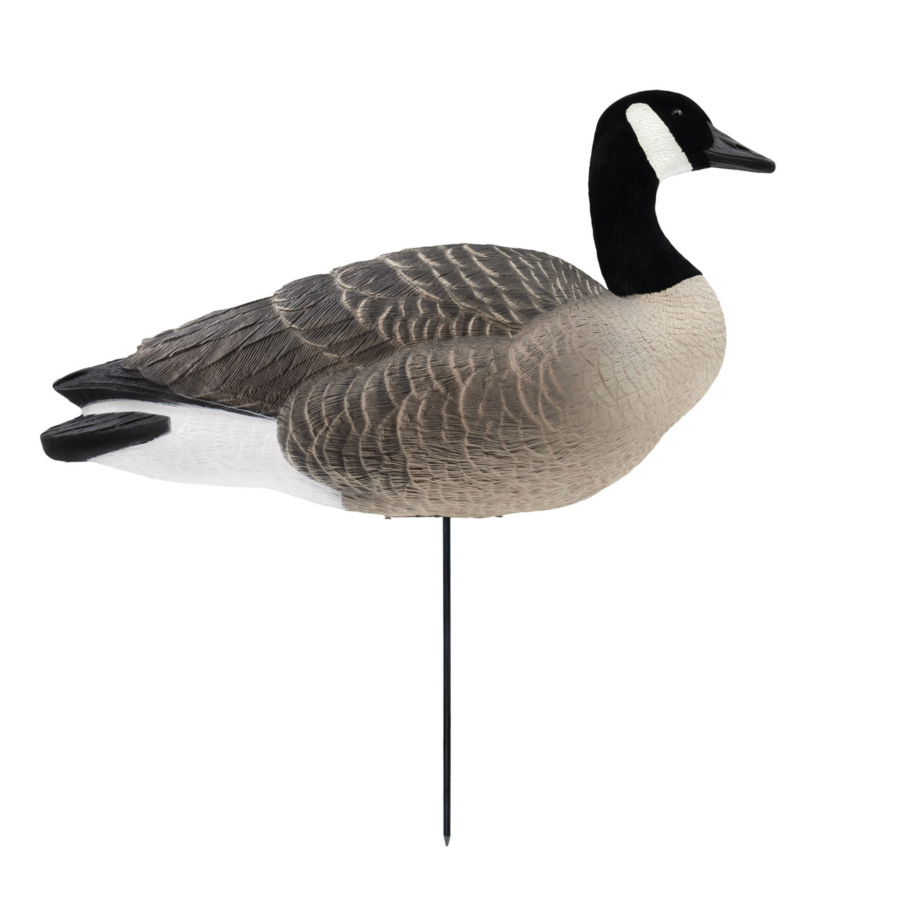Final Approach Last Pass Full Body Canada Goose Decoys, 6 Pack