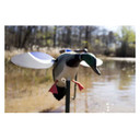 Baby MOJO Mallard Drake Spinning Wing Decoy