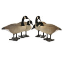 BigFoot Canada Goose Decoys, 4 Pack