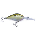 Rogers Sporting Goods Intent 62 Crankbait Image in Tennessee Shad Nuclear Reaction