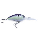 Rogers Sporting Goods Intent 62 Crankbait Image in Undead Nuclear Reaction