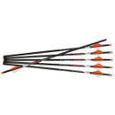 Premium Arrows 500 Grain HD .001, Pack of 6