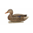 Open Water Floating Mallard Duck Decoys, 6 Pack