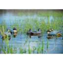 Life-Sized Floating Green-Winged Teal Decoys, 6 Pack