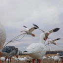 The Persuader Motorized Decoy Stand