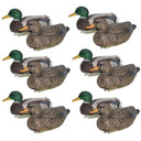 Mallard Mayhem Duck Floater EVA Painted Decoys, 12 Pack