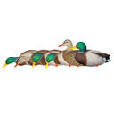 AXP Over-Sized Full Body Mallard Decoys - 6 Pack with Slotted Decoy Bag