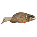 Avian-X AXP Full Body Mallard Decoys Stretch Feeder Hen