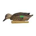 Avian-X Topflight Floating Green-Winged Teal Decoys, 6 Pack Image