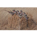 Avian-X A-Frame Blind camouflaged image