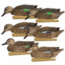 Avian-X Topflight Floating Early Season Teal - 6 Pack Image