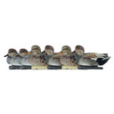 Six Pack Image of the Avian-X Topflight Floating Gadwall Duck Decoys.