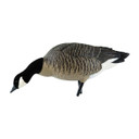 AXP Full-Body Lesser Canada Goose Feeder Decoy Real Feeder Image